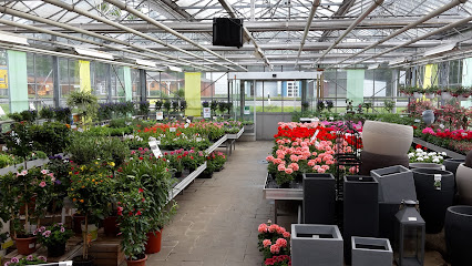 Gärtnerei Ohlmeyer