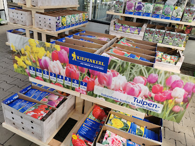 Blumen Risse Blumenmarkt Lippstadt