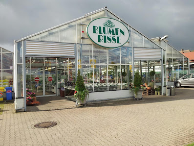 Blumen Risse Blumenmarkt Lippstadt