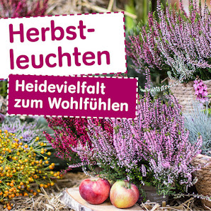 Blumen Risse Blumenmarkt Lippstadt