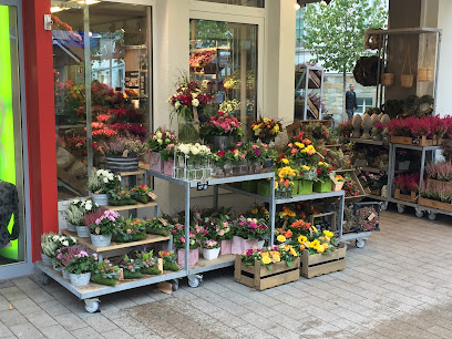 Blume 2000 Lippstadt