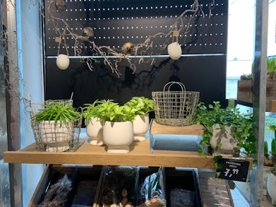 Blume 2000 Lippstadt