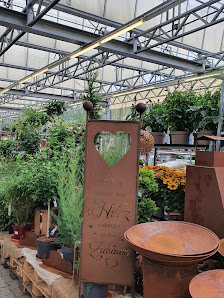 OBI Gartencenter Köln-Godorf