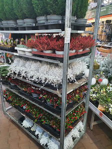 OBI Gartencenter Köln-Godorf