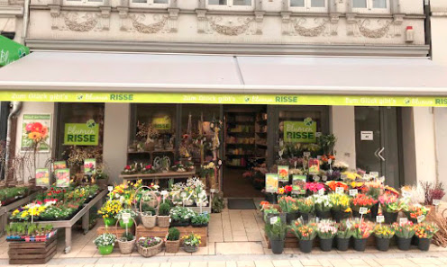 Blumen Risse Blumenladen Kamen