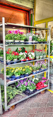Regina´s Blumenladen & Gartenbau