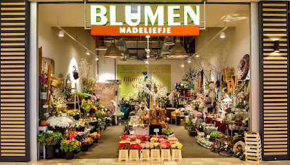 Blumen MADELIEFJE