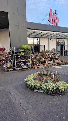 Blumen Mariella