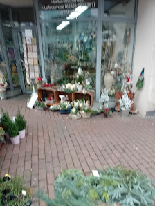 Flowers & More Kleve