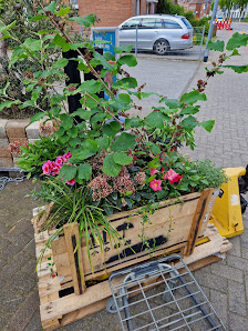 Blumen Heselmann