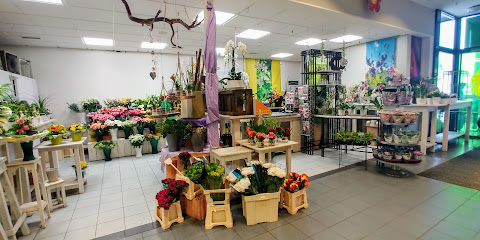'Blumen Schlitter' im E Center Schroff