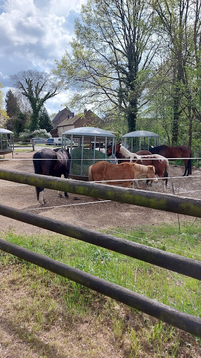 Gartenbau Pöstges-Haeffs