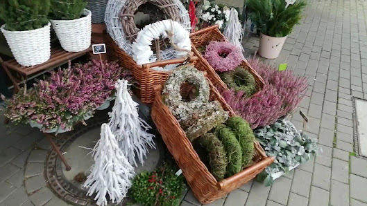 Blumen Röhrig