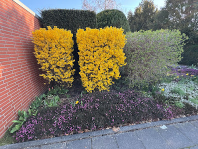 Gartenpflege Stephan Müller