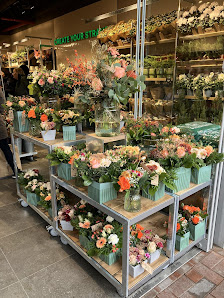 BLUME2000 in Hürth