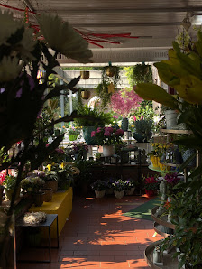 Annette Horst Blumen und Pflanzen