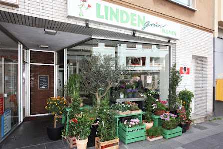 Lindengrün
