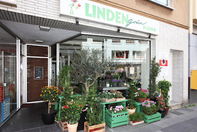 Lindengrün