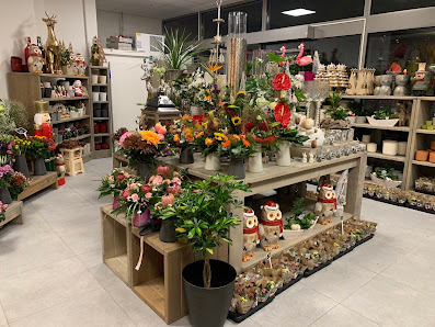 Blumen Spangenberg Wesel