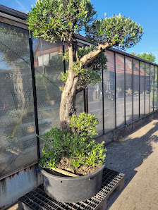 A. Wallgärtner Garten- und Landschaftsbau