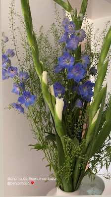 Champ de Fleurs