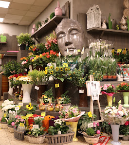 Blumen Schneitler