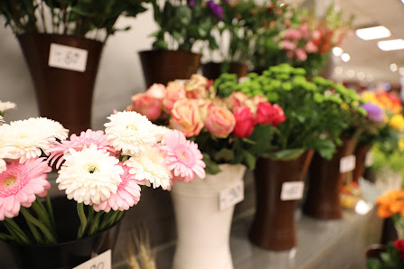 Blumen Schneitler