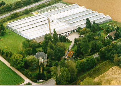 Schwarz Gartenbau