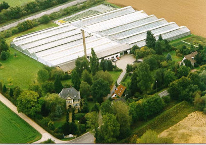 Schwarz Gartenbau