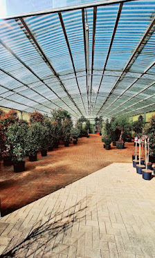 Pflanzenhof Winterberg KG