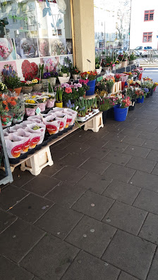 BlumenHaus