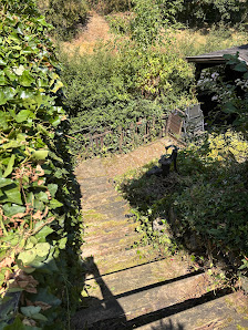 Gartenpflege Welterlich