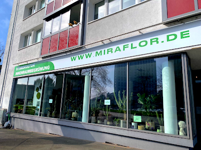Miraflor Hydrokulturen