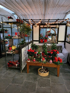 dietz blumen & events