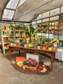 dietz blumen & events