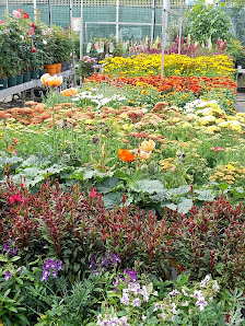 OBI Gartencenter Köln-Mülheim