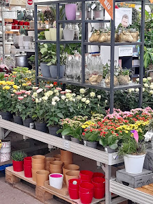 OBI Gartencenter Köln-Mülheim