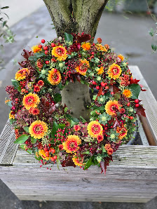 Blumen Kleeblatt