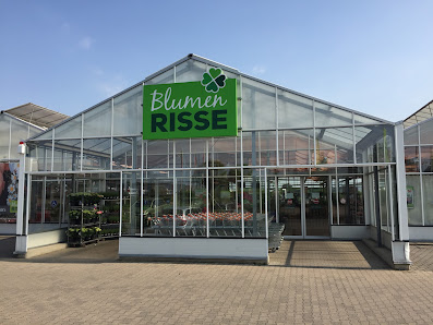 Blumen Risse Blumenmarkt Euskirchen