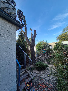 Garten und Landschaftsbau in Euskirchen