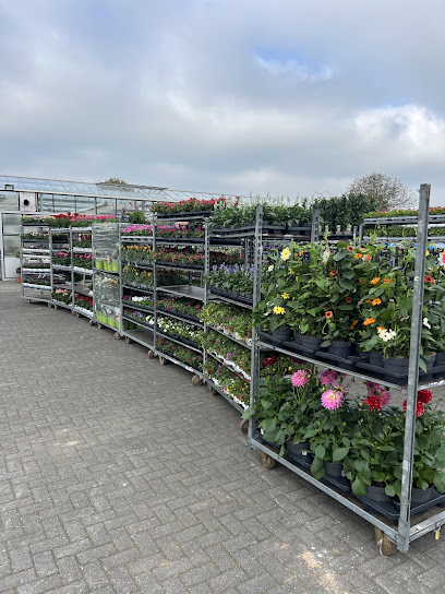 Blumen Jansen GbR