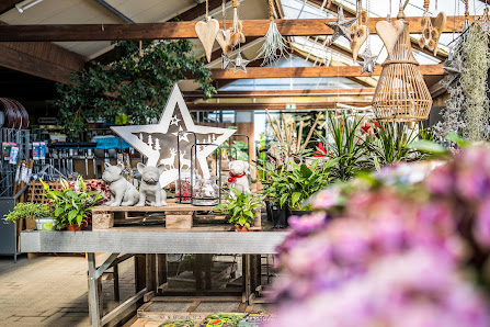 Baumschul-Pflanzen-Center Schmitz GmbH | Gartenbaumschule