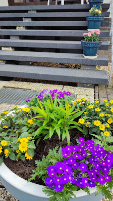 Gartencenter Geschwind