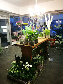 Blumen Schmitz Inh. Daniela Westbrock