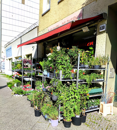 Blumen und Pflanzen