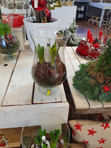 Blumen Steur