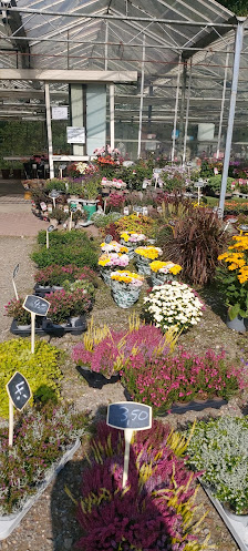Blumenhof Wallbruch