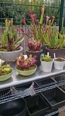 Florales Design Grabe