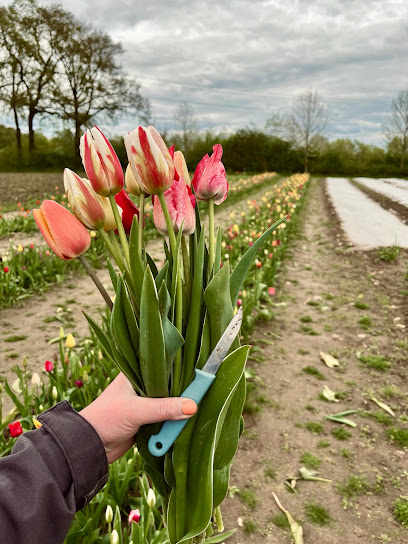 Blumen von Kathi