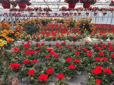 Blumen Klemke